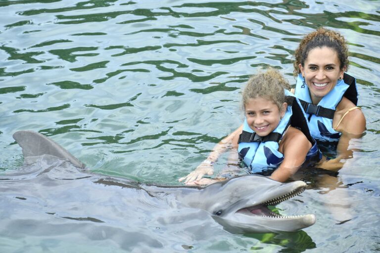 Unforgettable Adventures with Dolphin Discovery